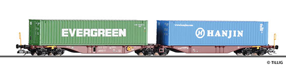 010-18071 - TT - Containertragwagen Sggmrss, GySEV Cargo, Ep. V